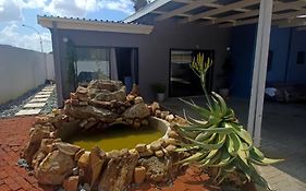 Nj Guesthouse & Boutique Windhoek